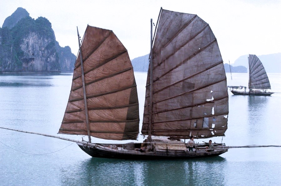 Cảnh tượng ngay lúc này trên vịnh Hạ Long: Sau gần 30 năm mới thấy lại, nhiều người không tin vào mắt mình - Ảnh 3.