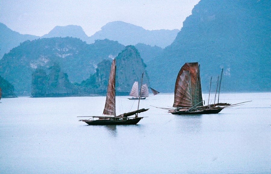 Cảnh tượng ngay lúc này trên vịnh Hạ Long: Sau gần 30 năm mới thấy lại, nhiều người không tin vào mắt mình - Ảnh 4.