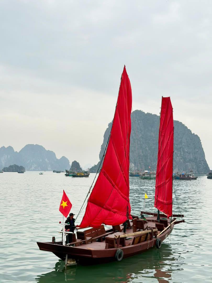 Cảnh tượng ngay lúc này trên vịnh Hạ Long: Sau gần 30 năm mới thấy lại, nhiều người không tin vào mắt mình - Ảnh 2.