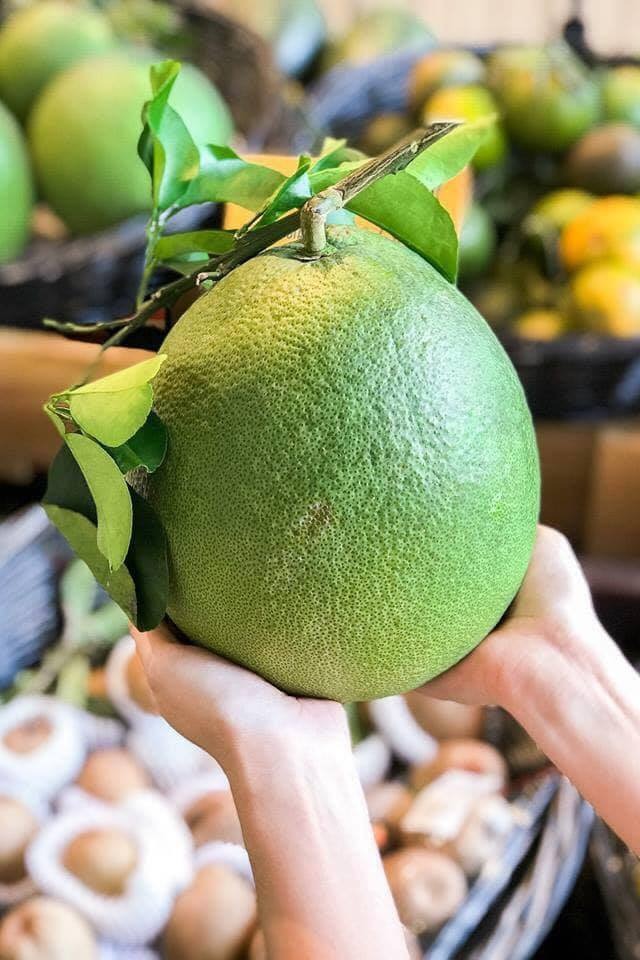 5 tr&aacute;i c&acirc;y N&Ecirc;N d&ugrave;ng để c&uacute;ng &ocirc;ng C&ocirc;ng &ocirc;ng T&aacute;o, vừa đẹp m&acirc;m lễ vừa mang &yacute; nghĩa c&aacute;t l&agrave;nh- Ảnh 1.