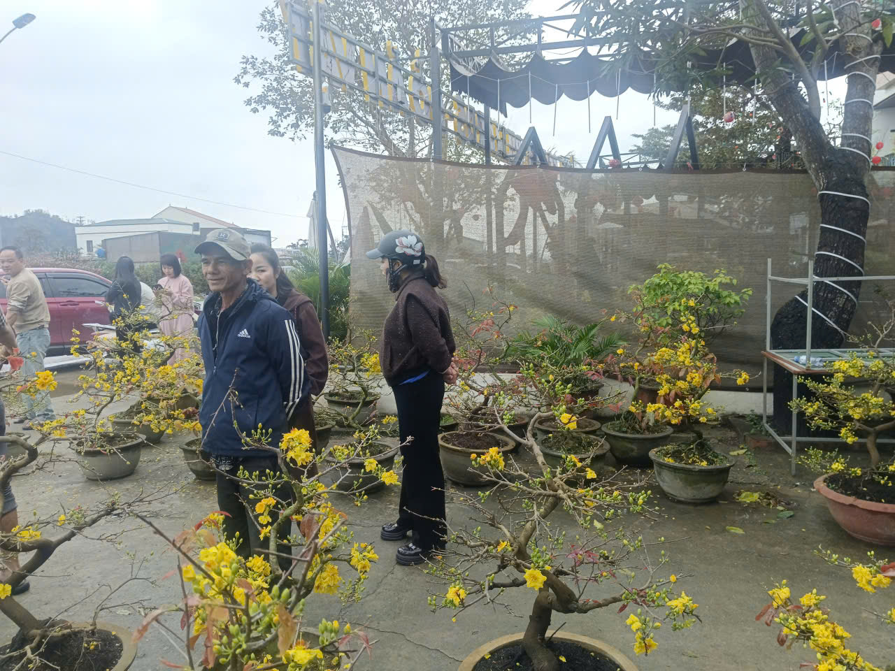 Người d&acirc;n Nghệ An ủng hộ người đ&agrave;n &ocirc;ng b&aacute;n mai Tết sau vụ bị lừa - Ảnh 5.