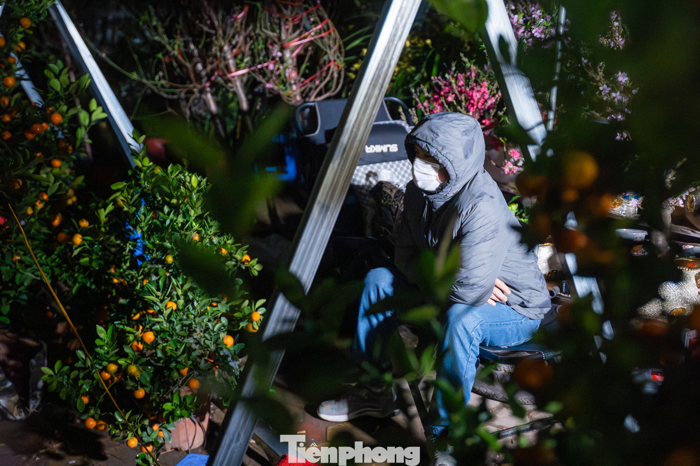 H&agrave; Nội mưa r&eacute;t thấu xương, tiểu thương trắng đ&ecirc;m tr&ocirc;ng đ&agrave;o quất- Ảnh 3.