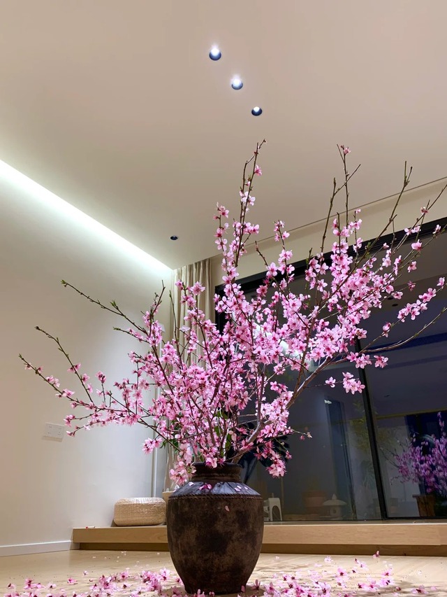 Vị trí đặt cây quất, cành đào ngày Tết kỵ nhất ảnh hưởng tài lộc - Ảnh 1.