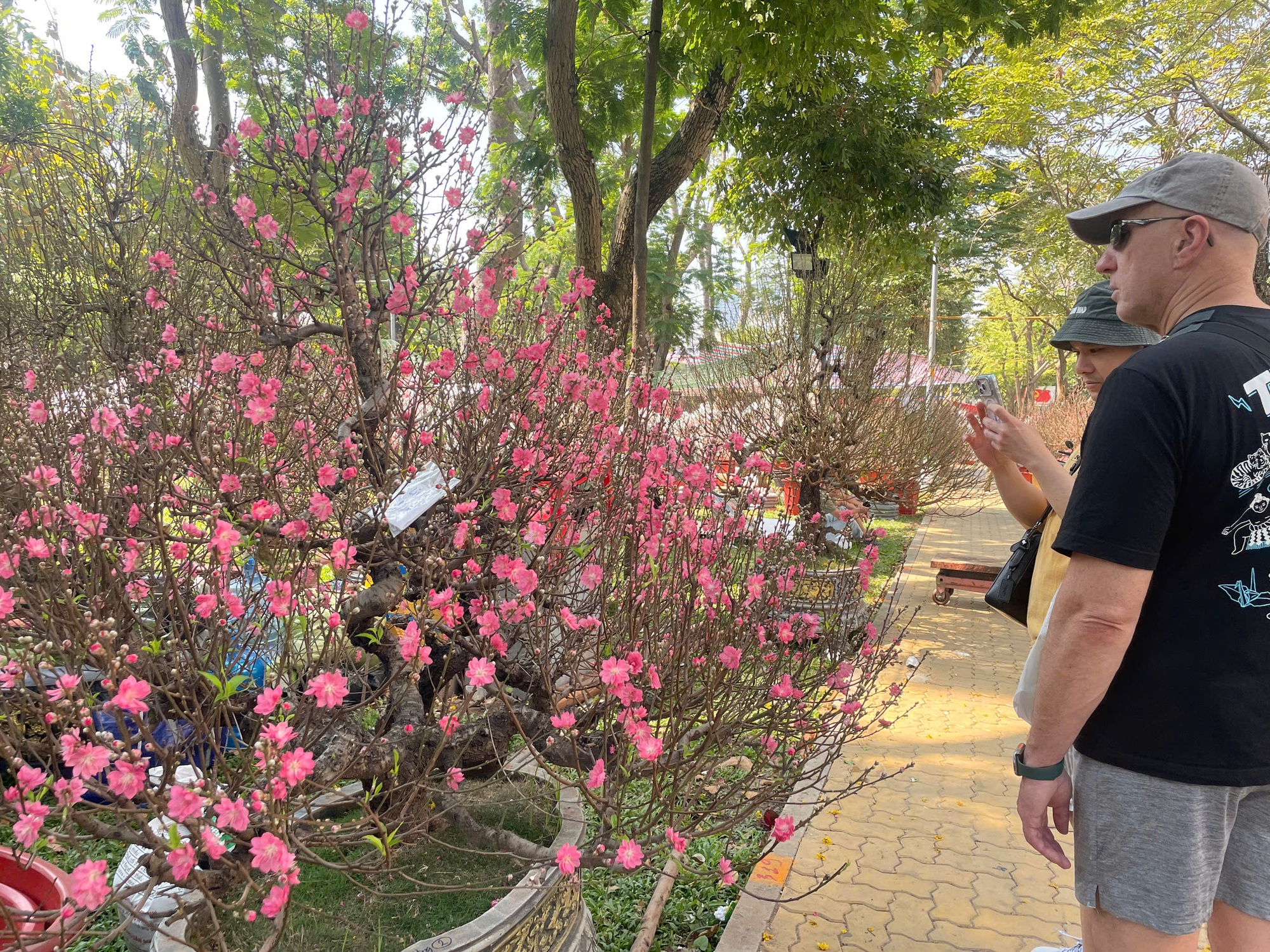 Đào cổ thụ tiền trăm triệu hút khách sớm ở chợ hoa TP HCM  - Ảnh 4.