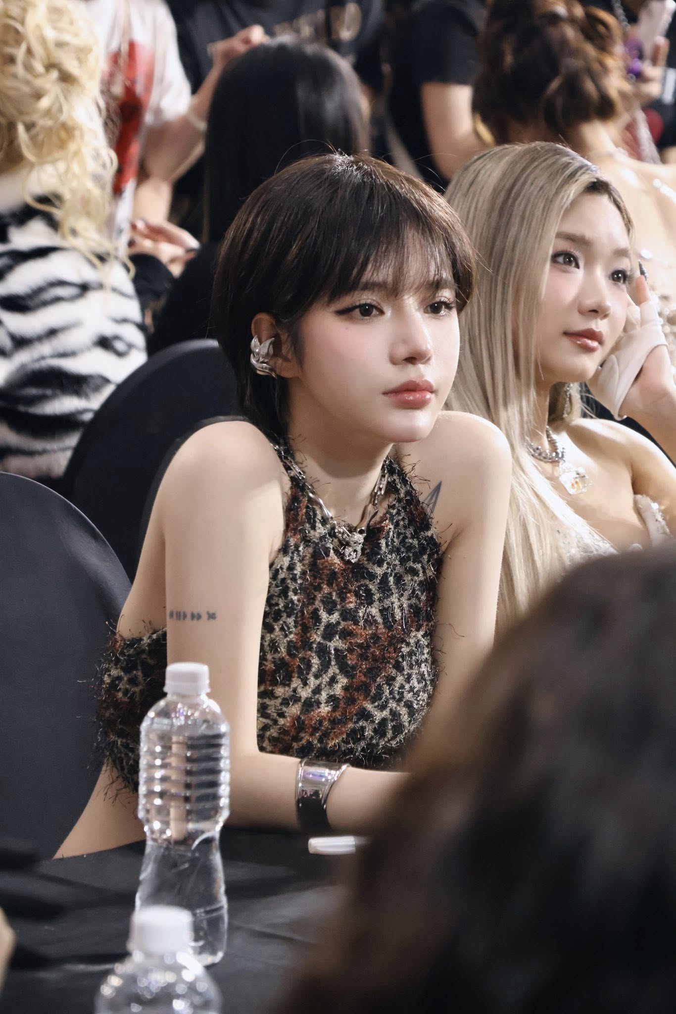 - Ảnh 15. - Ảnh 15.