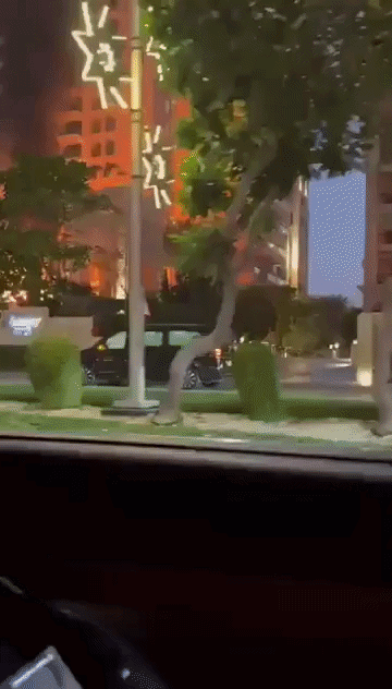 Khách sạn nổi tiếng ở Dubai bị đánh giá 1 sao vì tên lửa của Iran - Ảnh 1.