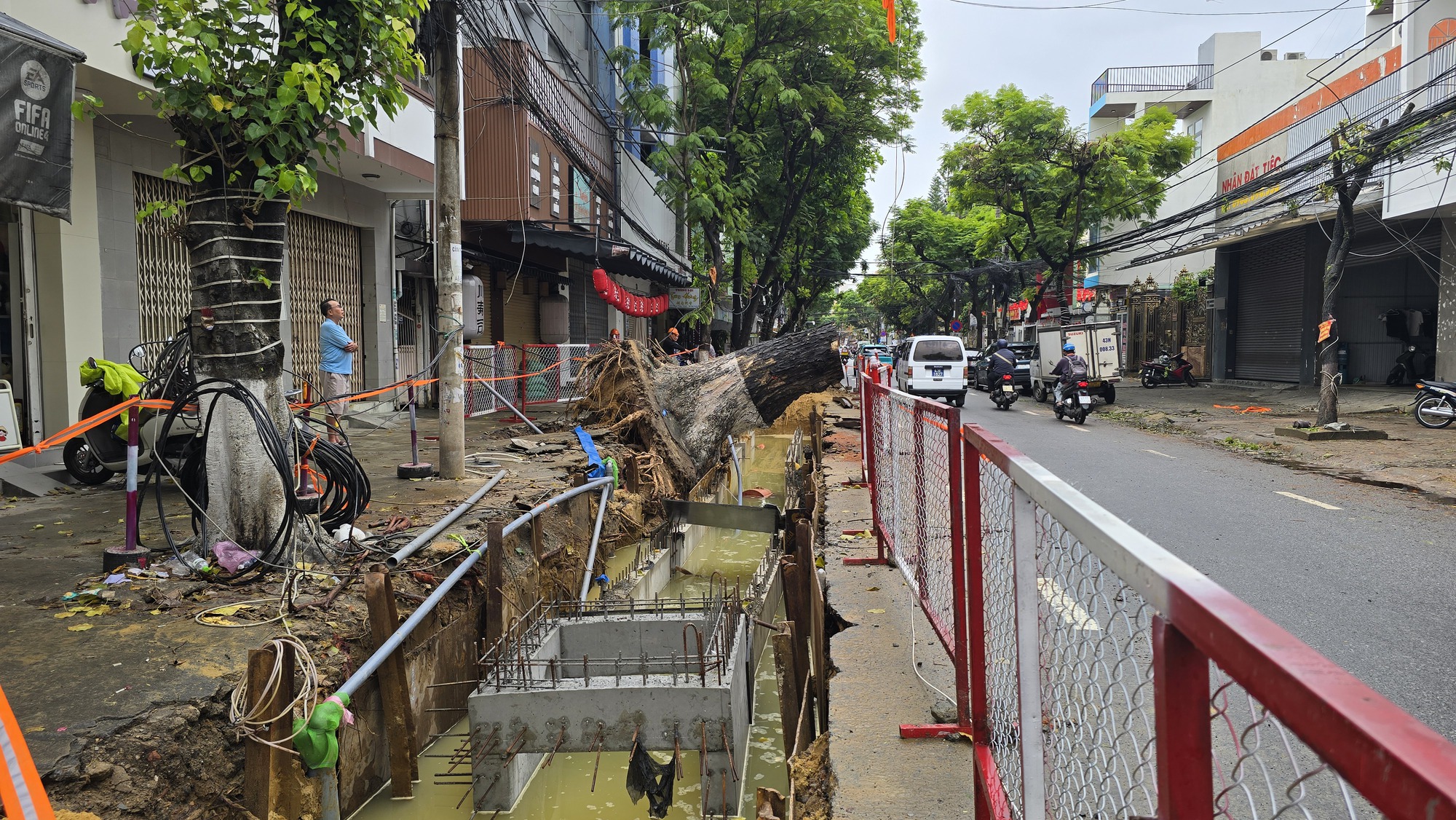 C&acirc;y cổ thụ bật gốc giữa đ&ecirc;m ở Đ&agrave; Nẵng g&acirc;y hoang mang cho người d&acirc;n - Ảnh 3.