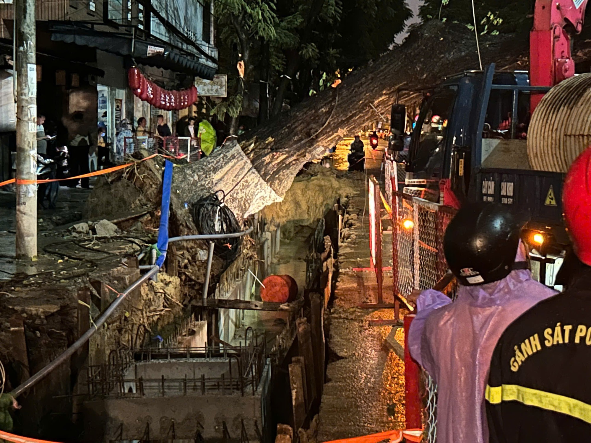 C&acirc;y cổ thụ bật gốc giữa đ&ecirc;m ở Đ&agrave; Nẵng g&acirc;y hoang mang cho người d&acirc;n - Ảnh 1.