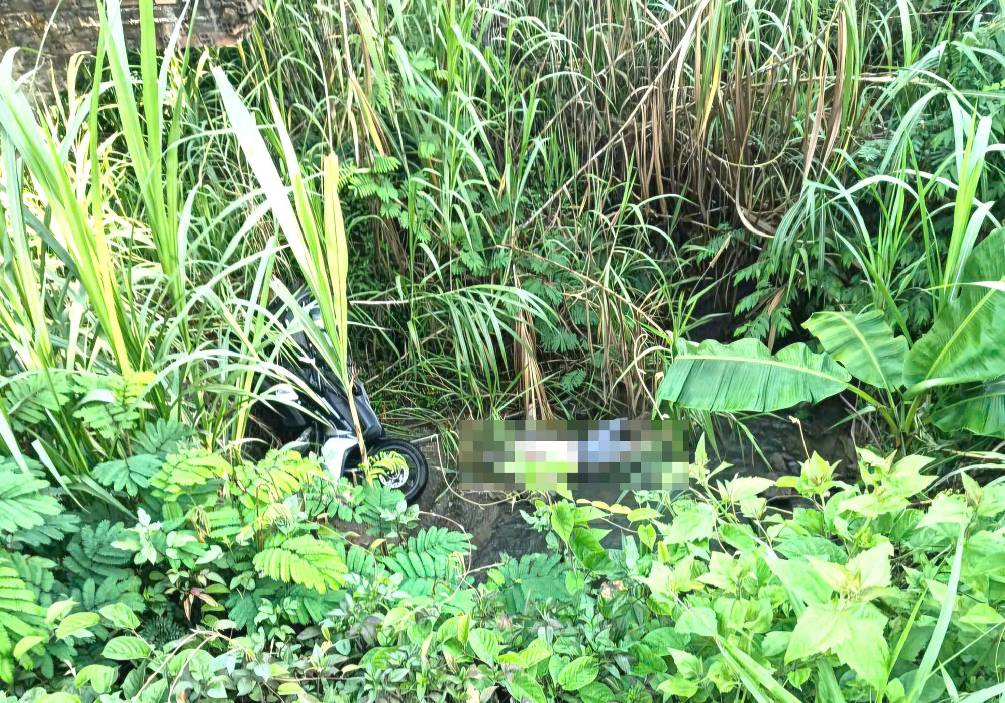 Phát hiện thi thể nam sinh viên mất tích dưới vực đèo Chuối ở Lâm Đồng - Ảnh 1.