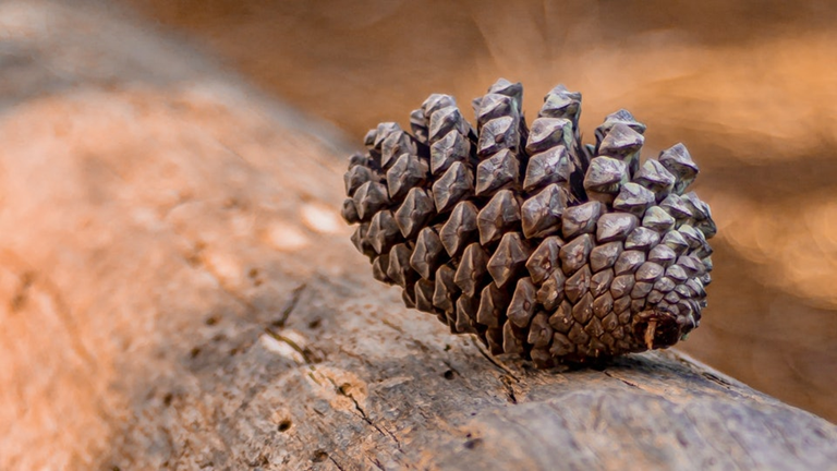 Khongcotieudegruf 1773126220384 1773126220748427744824