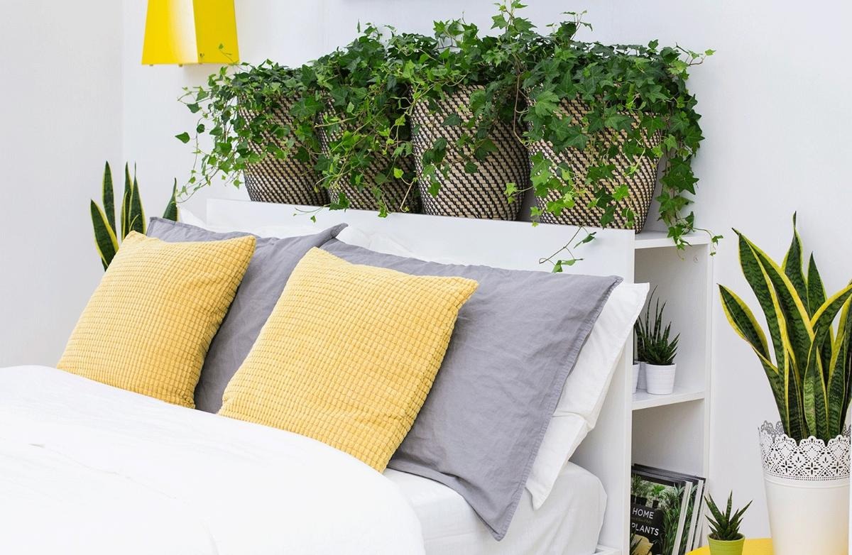 3 thứ ở đầu giường &acirc;m thầm l&ocirc;i k&eacute;o tiểu nh&acirc;n, dễ rước xui v&agrave;o nh&agrave;- Ảnh 2.