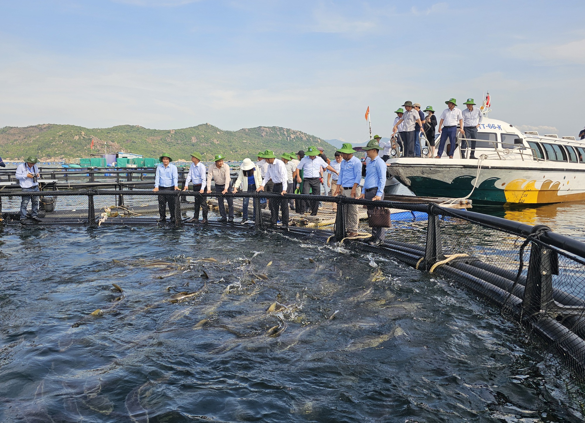 Nu&ocirc;i biển c&ocirc;ng nghệ cao khởi sắc - Ảnh 1.