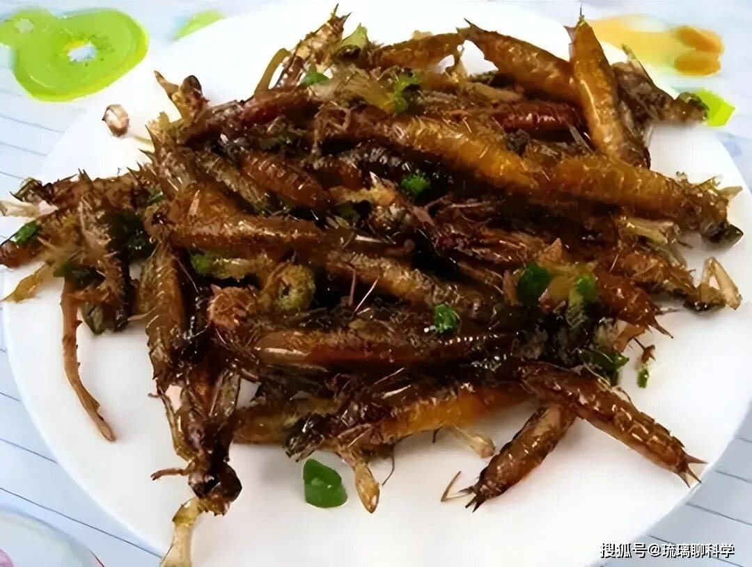 Ấu tr&ugrave;ng chuồn chuồn ăn 3.000 con muỗi mỗi năm nhưng lại trở th&agrave;nh m&oacute;n ăn kho&aacute;i khẩu của con người - Ảnh 2.