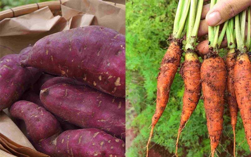 2C 213547 1773328274366 17733282746031641634356