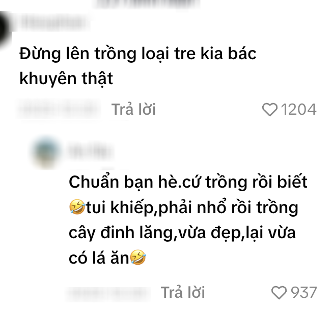 Cặp vợ chồng trẻ ở Th&aacute;i Nguy&ecirc;n khoe nh&agrave; mới đẹp long lanh, d&acirc;n t&igrave;nh lập tức "cảnh b&aacute;o" một chi tiết ngay g&oacute;c s&acirc;n- Ảnh 11.