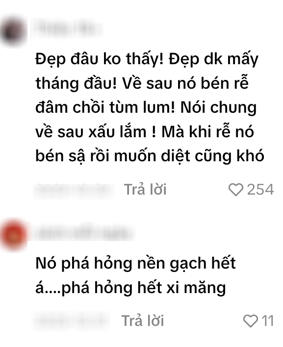 Cặp vợ chồng trẻ ở Th&aacute;i Nguy&ecirc;n khoe nh&agrave; mới đẹp long lanh, d&acirc;n t&igrave;nh lập tức "cảnh b&aacute;o" một chi tiết ngay g&oacute;c s&acirc;n- Ảnh 10.