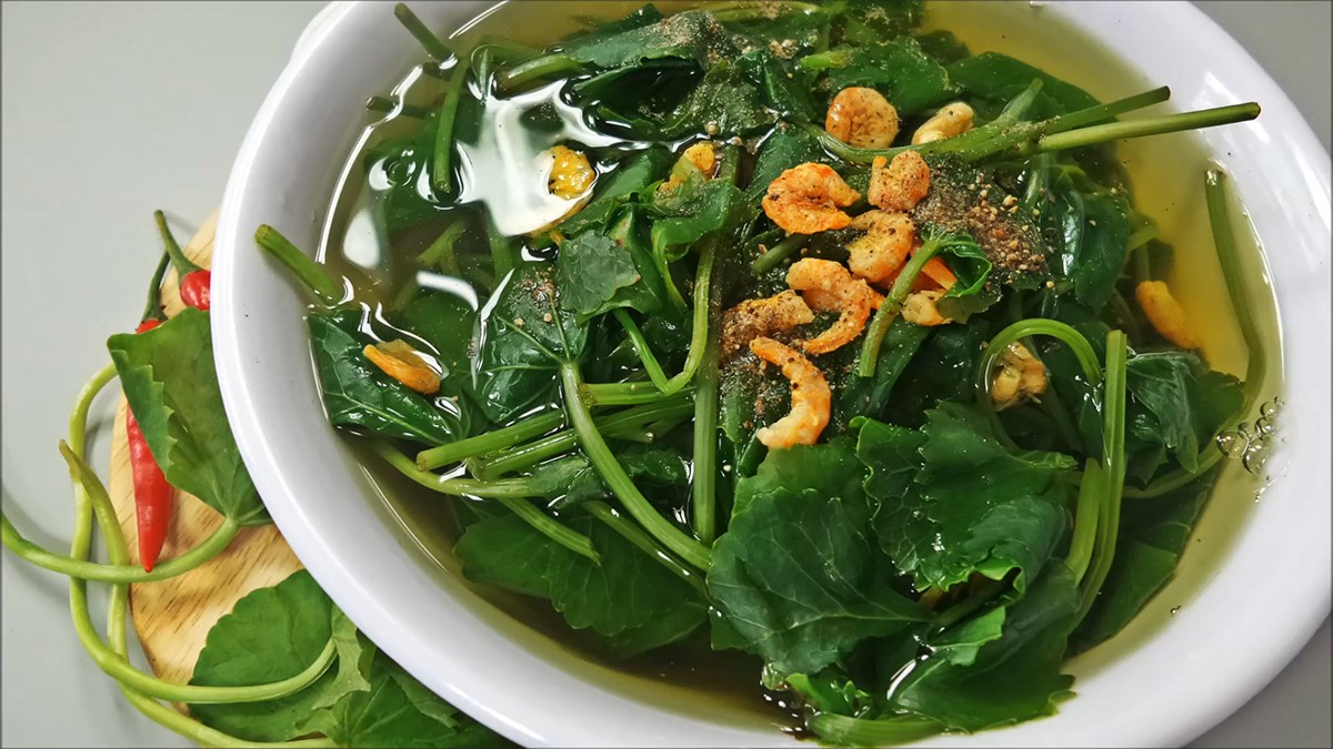 Canh Rau Ma Tom Kho Thumbnail 1 144540 1773307501005 17733075015551844886335