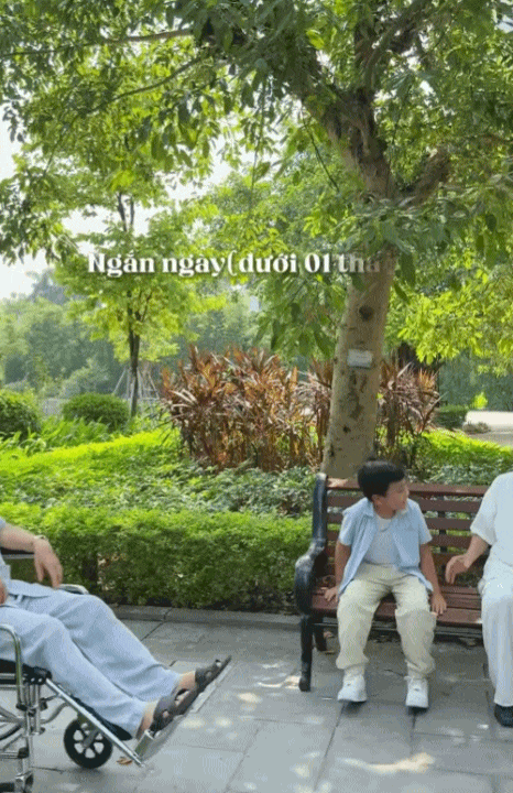 Gi&uacute;p cha mẹ gi&agrave; lu&ocirc;n c&oacute; người b&ecirc;n cạnh mỗi ng&agrave;y với m&ocirc; h&igrave;nh chăm s&oacute;c b&aacute;n tr&uacute; - Ảnh 8.