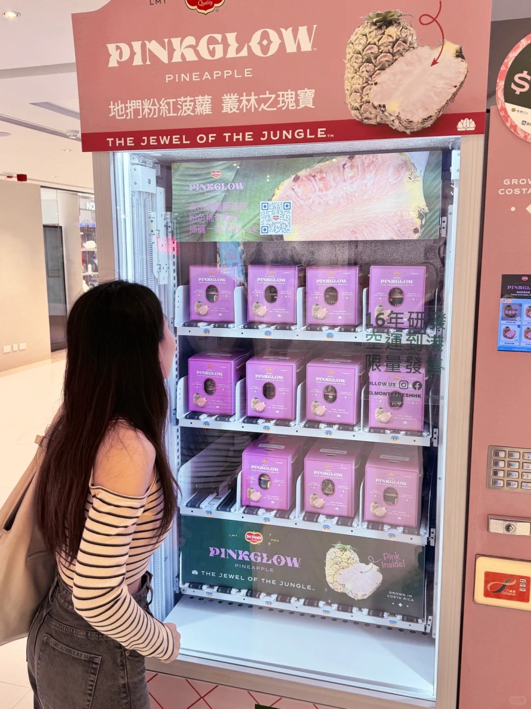 Dua Hong Afamily 11 1773285199400209286381 1773294015023 17732940155761360176721