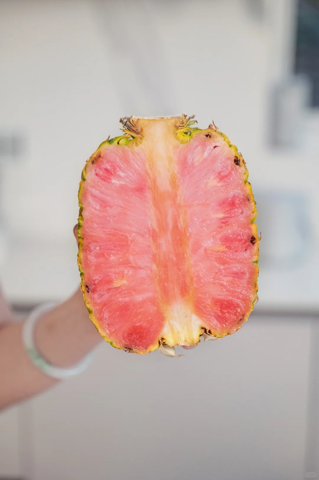 Dua Hong Afamily 6 17732851298051508612905 1773293987833 1773293988226845752484