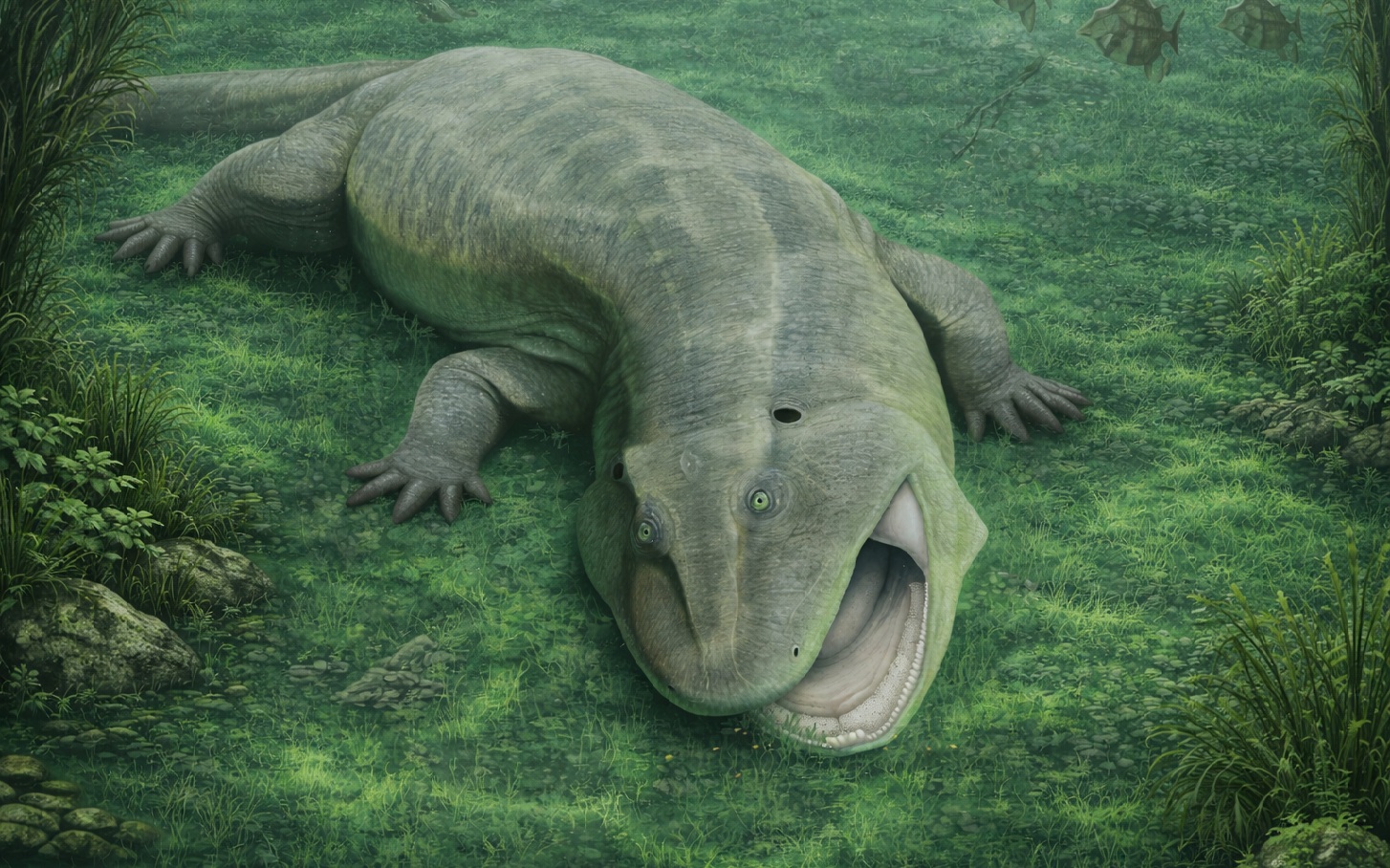 9 qu&aacute;i vật từ "lục địa đ&atilde; mất" g&acirc;y sốc cho giới khoa học- Ảnh 1.