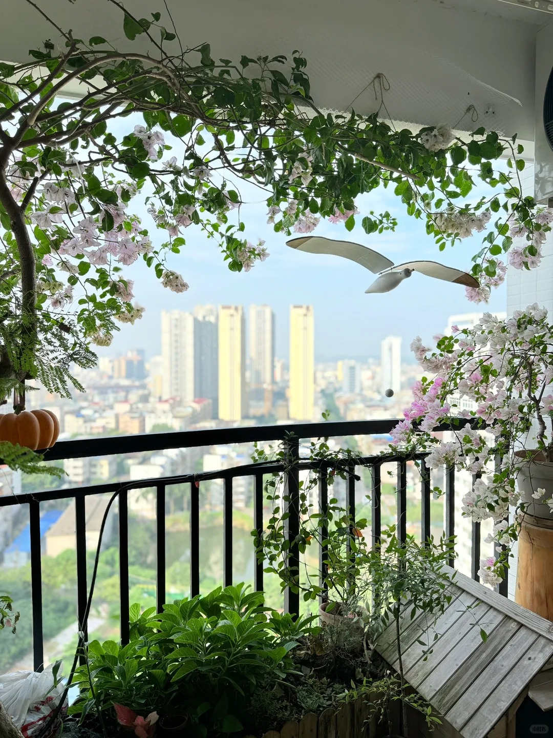 Giải m&atilde; sức h&uacute;t của hoa giấy bonsai mini trong phong thủy 2026 - Ảnh 13.