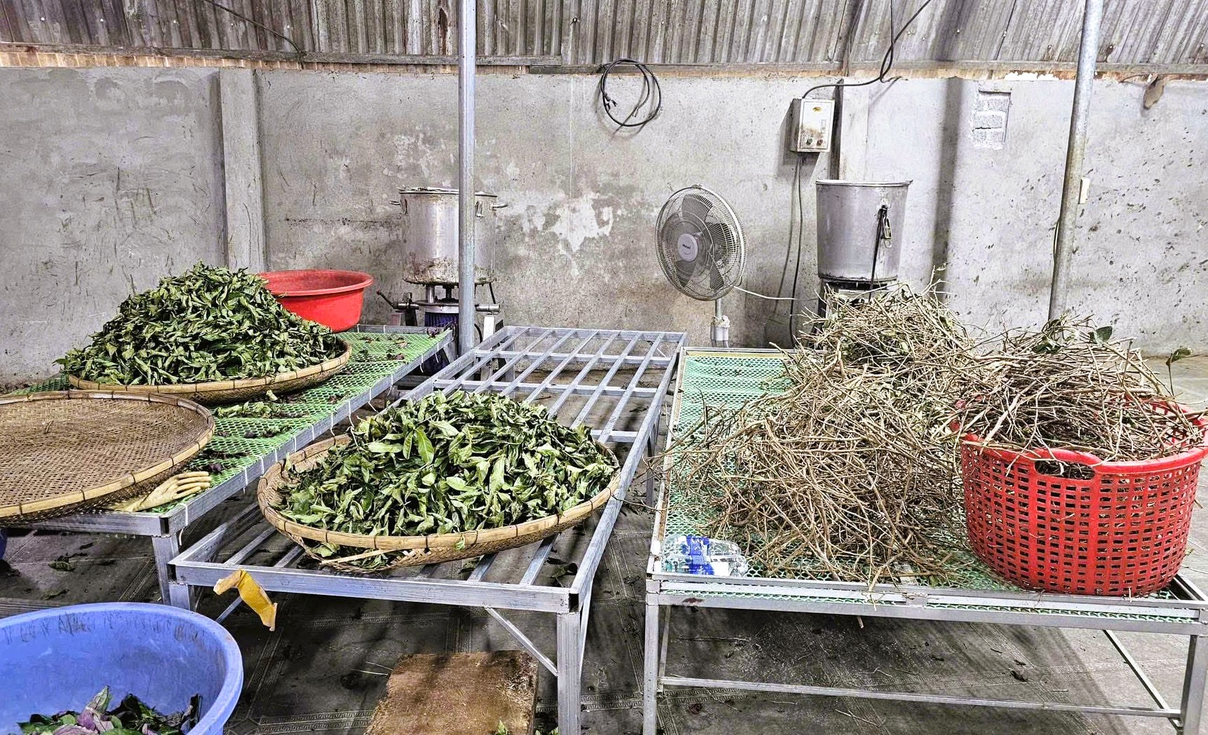 "Thần y" dỏm "Hoàng Minh Đường" từng bị xử phạt 82 triệu đồng - Ảnh 3.