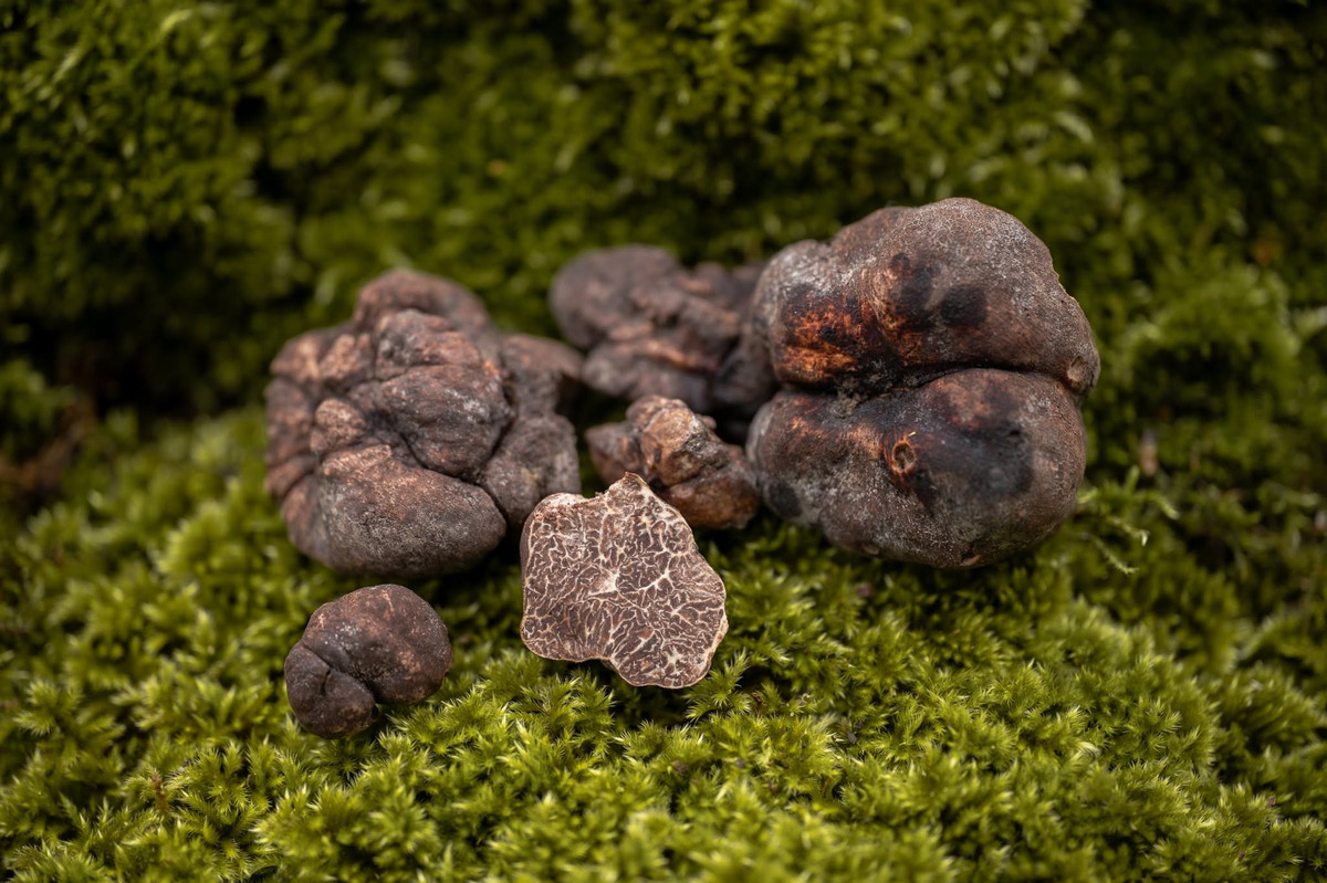 Thứ bị coi l&agrave; đồ bỏ đi bỗng h&oacute;a &ldquo;kho b&aacute;u&rdquo;, gi&aacute; ngất ngưởng hơn 3 tỷ đồng- Ảnh 6.