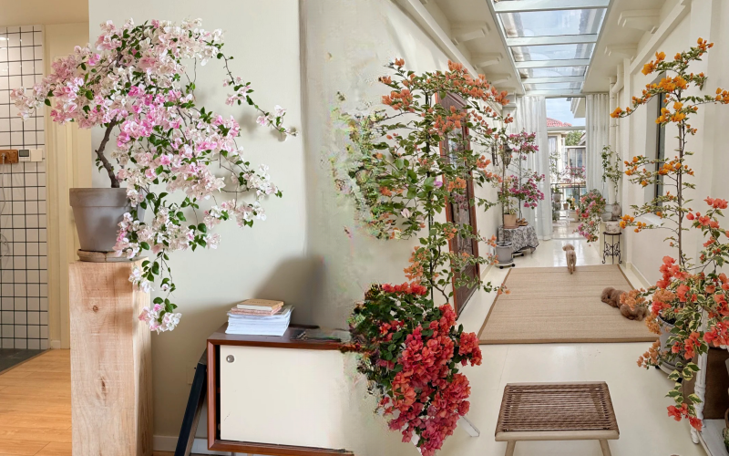 Giải m&atilde; sức h&uacute;t của hoa giấy bonsai mini trong phong thủy 2026 - Ảnh 1.