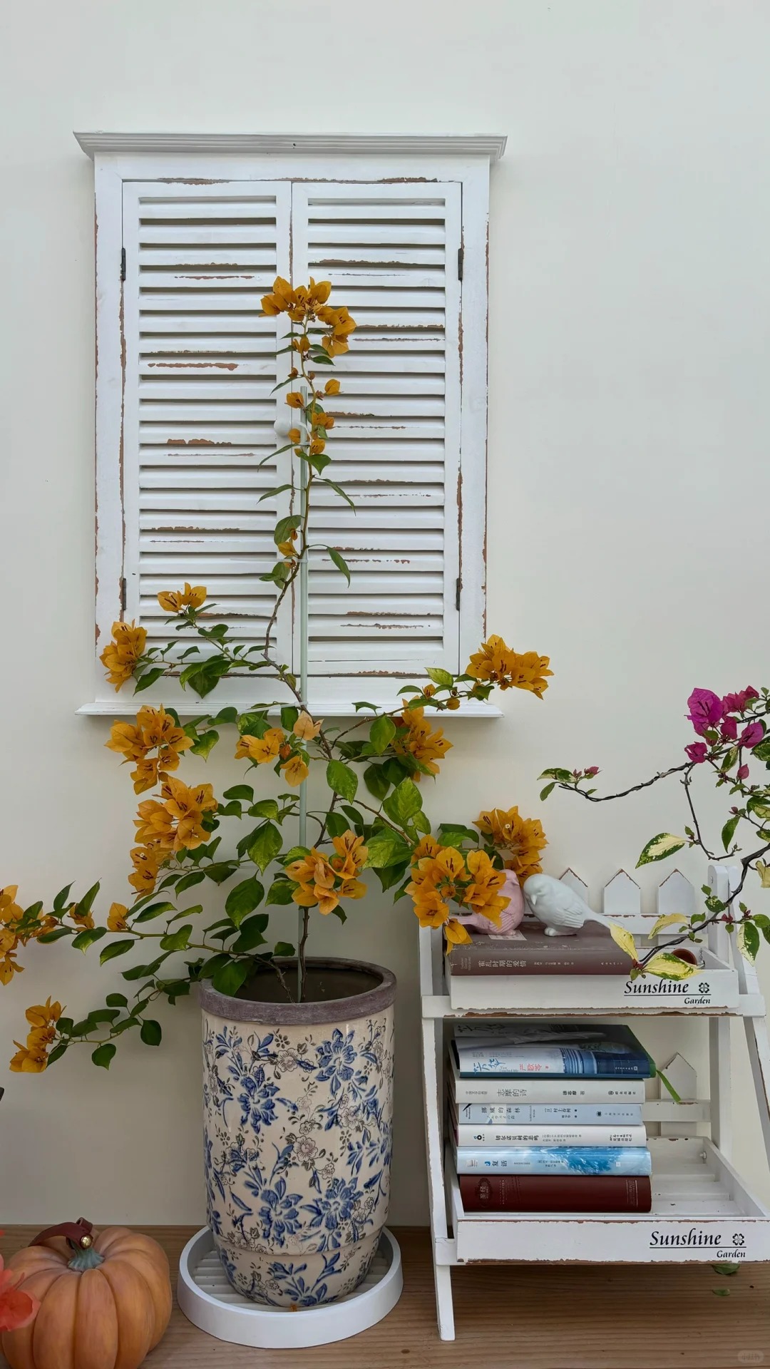 Giải m&atilde; sức h&uacute;t của hoa giấy bonsai mini trong phong thủy 2026 - Ảnh 14.