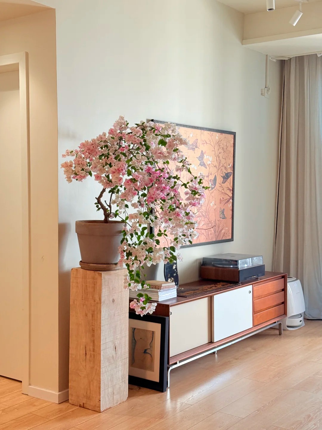 Giải m&atilde; sức h&uacute;t của hoa giấy bonsai mini trong phong thủy 2026 - Ảnh 11.