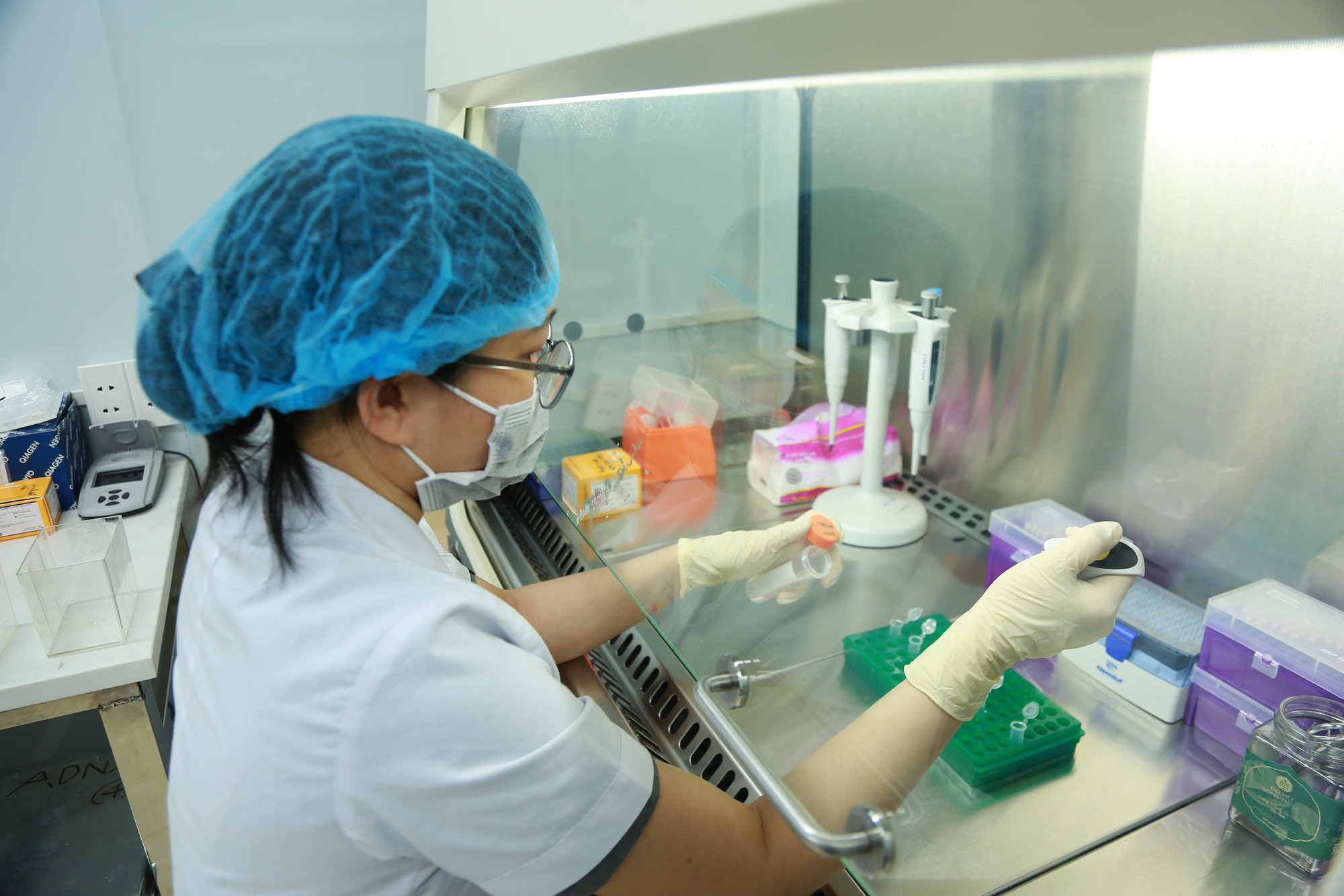 - Ảnh 1. - Ảnh 1.