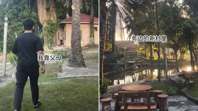 - Ảnh 2. - Ảnh 2.