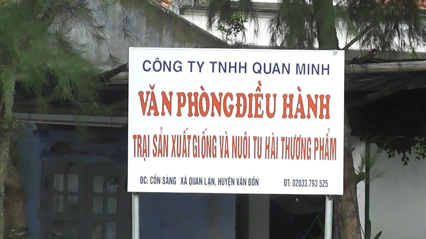 Vụ &ocirc;ng tr&ugrave;m c&aacute;t ở V&acirc;n Đồn bị bắt: Nợ thuế v&agrave; ph&aacute; sản 2026 - Ảnh 3.