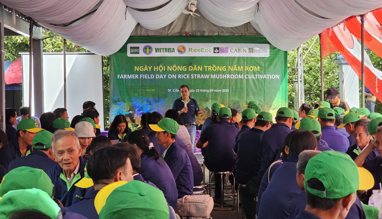 Thứ bị vứt đi được cố Thủ tướng chỉ cách làm đặc sản: Nay giá gần 100.000đ/kg, giúp nhiều nhà đổi đời - Ảnh 9.