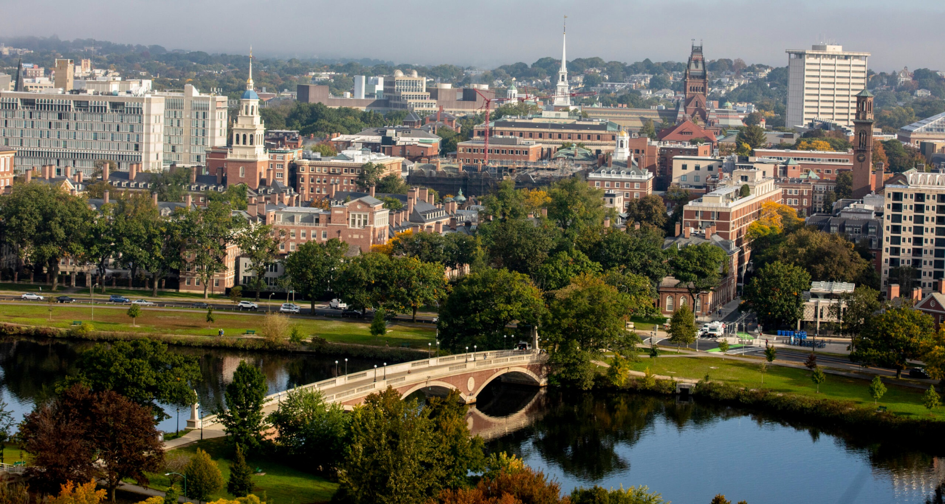 Tỷ lệ chọi v&agrave;o Đại học Harvard l&agrave; bao nhi&ecirc;u?- Ảnh 1.