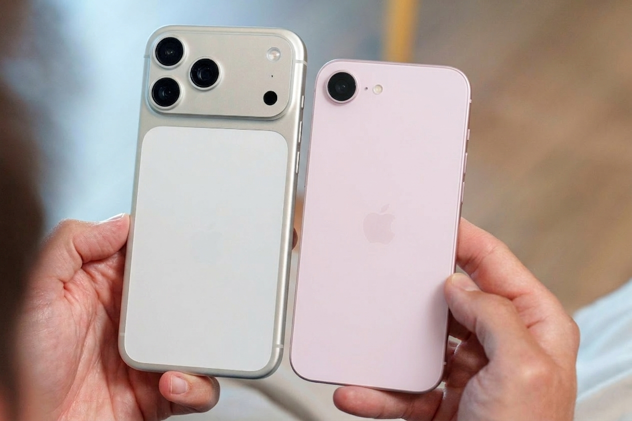 - Ảnh 2. - Ảnh 2.