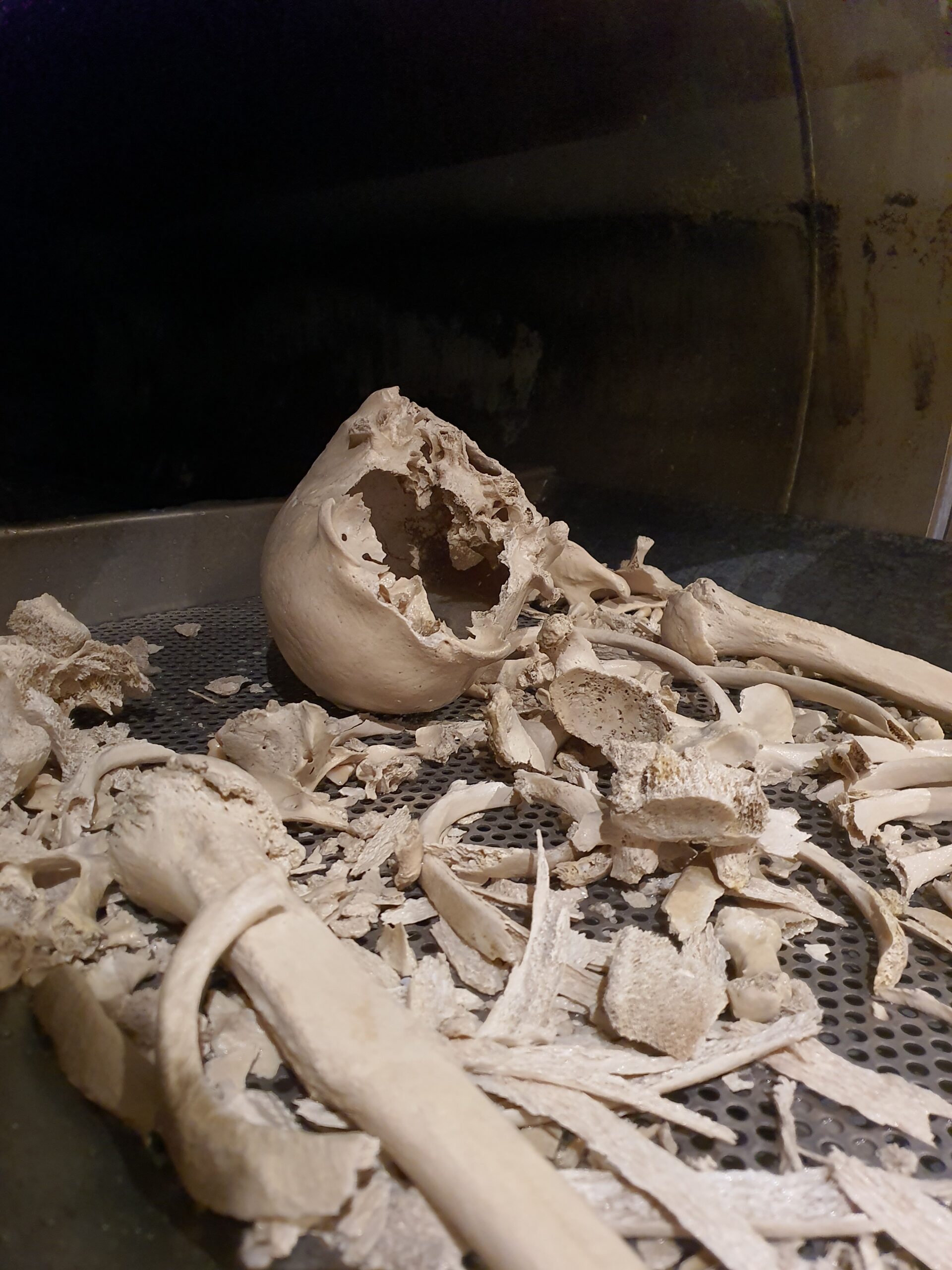 Hỏa táng sinh học: Xu hướng mai táng thân thiện môi trường hay điều đáng sợ? - Ảnh 5. Hỏa táng sinh học: Xu hướng mai táng thân thiện môi trường hay điều đáng sợ? - Ảnh 5.