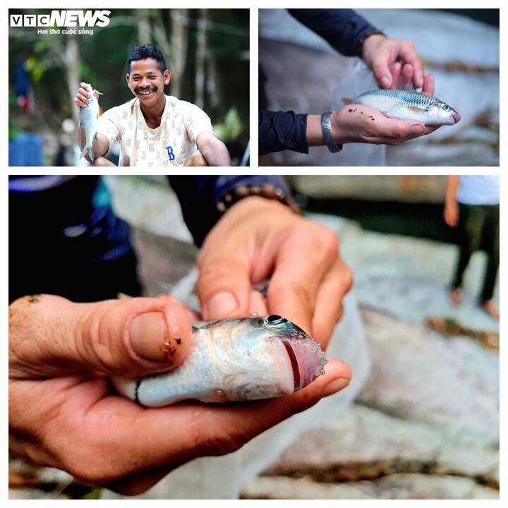 Săn c&aacute; q&uacute;y hiếm m&ugrave;a xu&acirc;n tr&ecirc;n d&ograve;ng Kr&ocirc;ng N&ocirc; c&ugrave;ng b&agrave; con K ' Ho ở L&acirc;m Đồng - Ảnh 6.