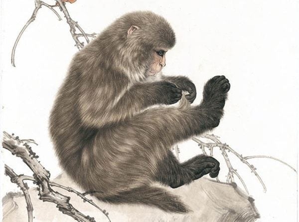 4 con gi&aacute;p đ&oacute;n tin vui th&aacute;ng 2 &Acirc;m lịch: T&agrave;i lộc dồi d&agrave;o - Ảnh 2.