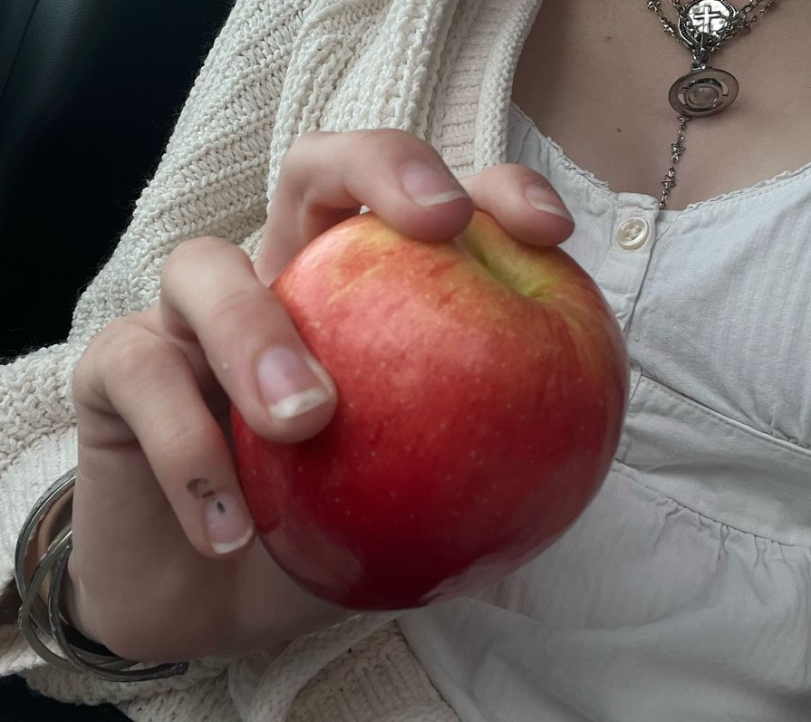 4 loại tr&aacute;i c&acirc;y ăn c&agrave;ng nhiều c&agrave;ng đốt ch&aacute;y chất b&eacute;o: Kh&ocirc;ng chỉ giảm c&acirc;n m&agrave; c&ograve;n dưỡng da, chống l&atilde;o h&oacute;a cực giỏi- Ảnh 1.