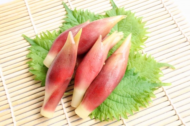 Loại rau được người Nhật coi như "nh&acirc;n s&acirc;m ch&acirc;u &Aacute;": Mọc đầy ở Việt Nam nhưng chưa phổ biến- Ảnh 2.