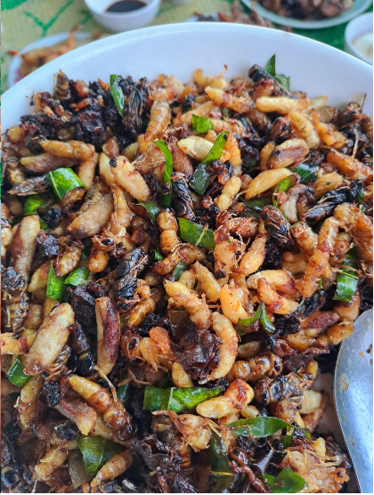 Con đặc sản &ldquo;nh&igrave;n đ&atilde; thấy sợ&rdquo; ở T&acirc;y Bắc xưa kh&ocirc;ng ai ng&oacute;, nay th&agrave;nh m&oacute;n ăn được d&acirc;n nhậu m&ecirc; t&iacute;t săn l&ugrave;ng- Ảnh 6.