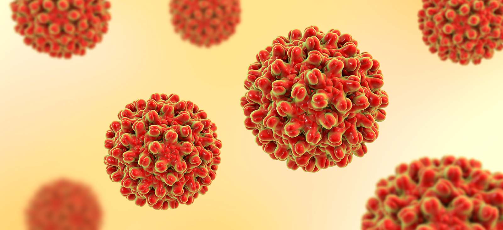 - Ảnh 2. - Ảnh 2.