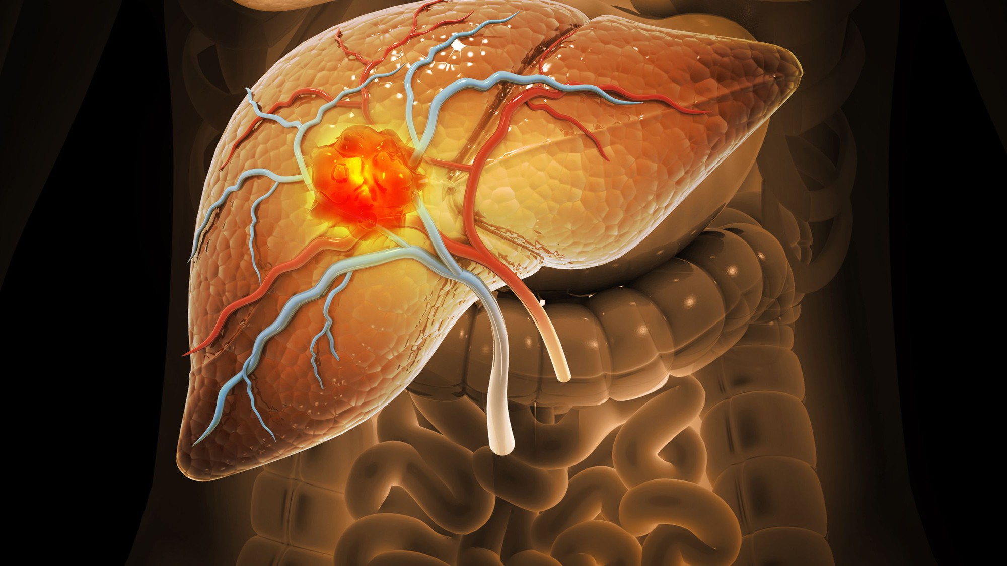 - Ảnh 1. - Ảnh 1.