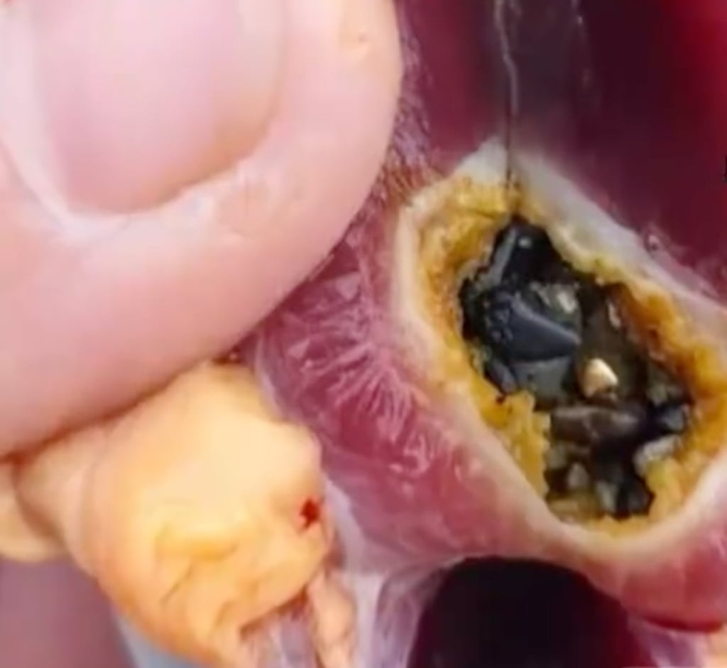 Mổ vịt ph&aacute;t hiện v&agrave;ng thật trong dạ d&agrave;y: C&acirc;u chuyện lạ ở Trung Quốc g&acirc;y b&atilde;o mạng x&atilde; hội - Ảnh 2.