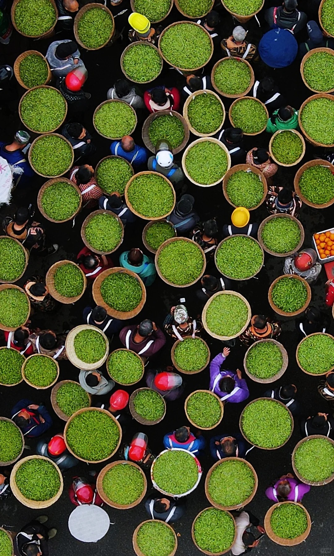 Lạc v&agrave;o phi&ecirc;n chợ lạ kỳ nhất th&aacute;ng 4: H&agrave;ng ng&agrave;n "chiếc l&aacute; sen" biết chạy tr&ecirc;n phố để đổi ch&aacute;c l&uacute;c 1 giờ chiều- Ảnh 2.