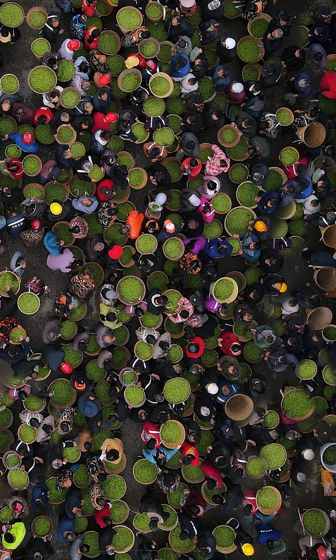 Lạc v&agrave;o phi&ecirc;n chợ lạ kỳ nhất th&aacute;ng 4: H&agrave;ng ng&agrave;n "chiếc l&aacute; sen" biết chạy tr&ecirc;n phố để đổi ch&aacute;c l&uacute;c 1 giờ chiều- Ảnh 4.