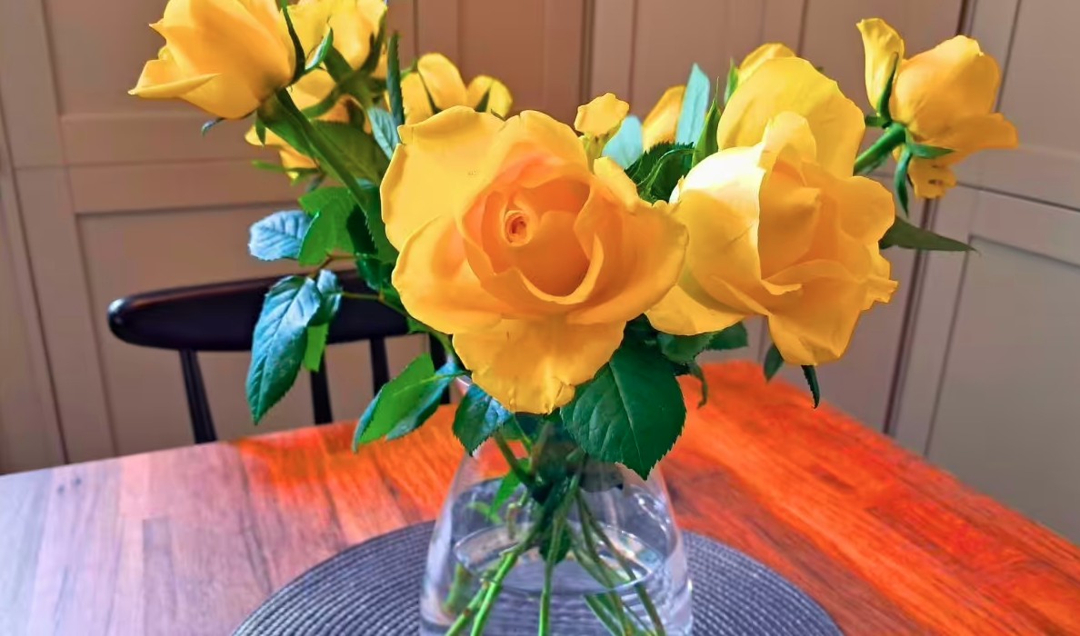 Mua hoa về cắm, đừng bao giờ đặt ở vị tr&iacute; n&agrave;y trong nh&agrave; - Ảnh 2.