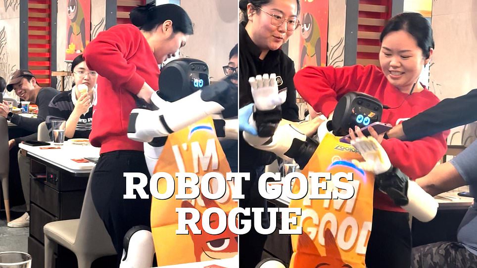 Robot biểu diễn bất ngờ &ldquo;nổi loạn&rdquo; trong nh&agrave; h&agrave;ng, đập ph&aacute; b&aacute;t đĩa khiến nh&acirc;n vi&ecirc;n vất vả khống chế giữa đ&aacute;m đ&ocirc;ng hoảng loạn - Ảnh 2.